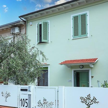 B&B Ulivo Gaio San Miniato Exteriér fotografie