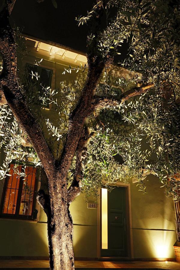 B&B Ulivo Gaio San Miniato Exteriér fotografie