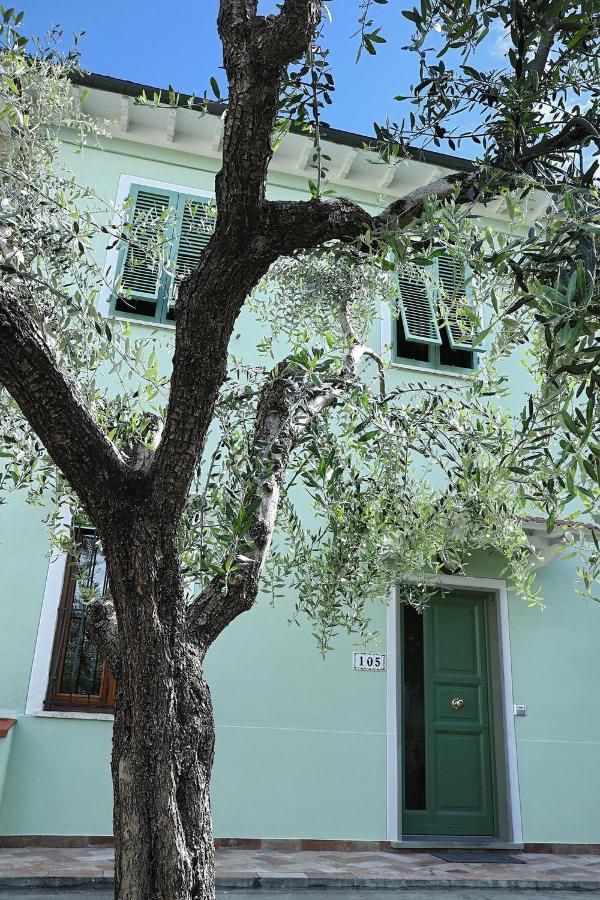 B&B Ulivo Gaio San Miniato Exteriér fotografie